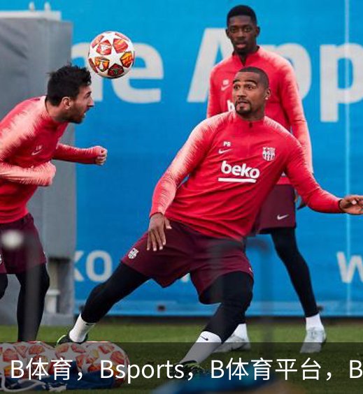 B体育，Bsports，B体育平台，B体育下载概况